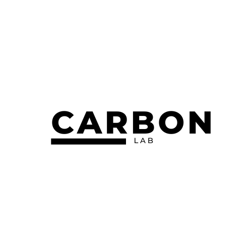CARBON FRAME GUARDS for BETA 2020 to 2024.